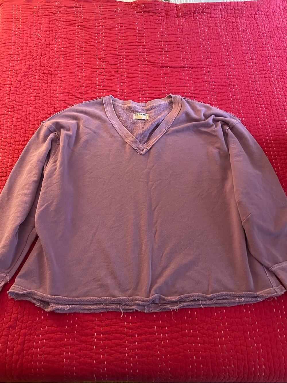 We The Free Lavender V-Neck Pullover Sweatshirt
